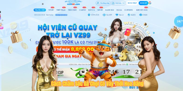 Cách Chăm Sóc Gà Chọi Có Vảy Thới Hoa Đăng