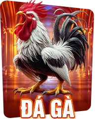 Đá Gà 8kbet