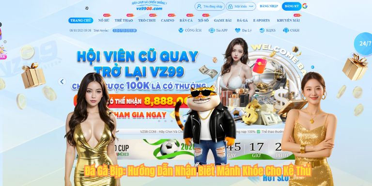 Đá Gà Bịp: Hướng Dẫn Nhận Biết Mánh Khóe Cho Kê Thủ