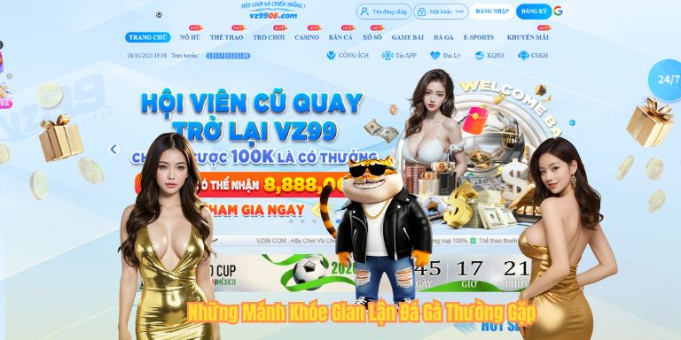 Những Mánh Khóe Gian Lận Đá Gà Thường Gặp
